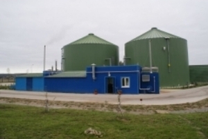 Доходы из отходов: на английской ферме из фекалий животных получают биогаз ##f_price|CURR_SIGN##