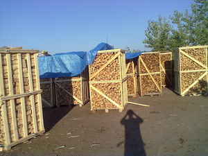 Продам дубовіі сушені в контейнерах по 2 складомтра грн.0