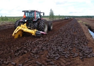 Торф – топливо будущего? ##f_price|CURR_SIGN##