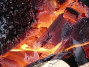 Древесный уголь продам оптом - А (березовый) грн.0