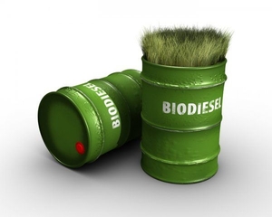 Правительство Украины планирует ввести пошлины на экспорт некоторых масленичных культур. ##f_price|CURR_SIGN##