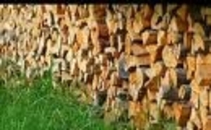 Закупаем дрова твердых пород грн.0