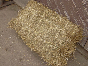 Тюки ржаной соломы грн.0