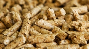 Обзор рынка пеллет Украины ##f_price|CURR_SIGN##