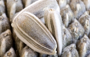 Винницкий МЖК планирует за 30 млн. дол. увеличить мощность на 50% ##f_price|CURR_SIGN##