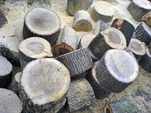 Продам ДУБ БУК ЯСЕНЬ грн.0