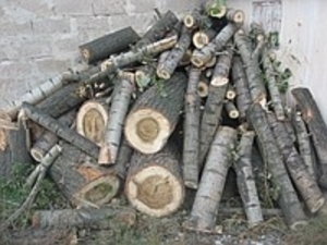 Продам дрова для топки печей грн.0