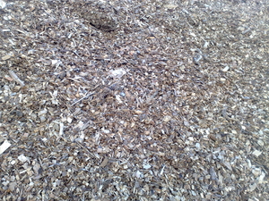 Топливная щепа в больших количествах грн.0