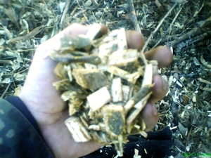 Продам щепу естественной влажности грн.0