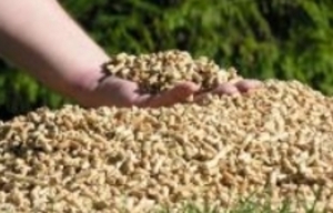 Iмпорт Польща Катовіце. Купимо пелети для промислових потреб грн.0