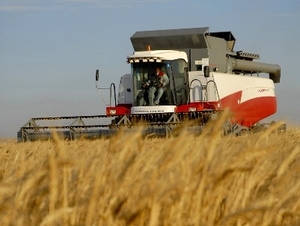 Крупный сельскохозяйственный гигант "Агротон" увеличил площадь земель на 20 тыс. га ##f_price|CURR_SIGN##