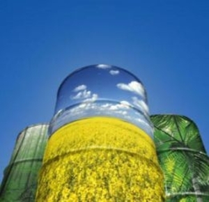 В ущерб ли людям активное применение «зеленого топлива»? ##f_price|CURR_SIGN##