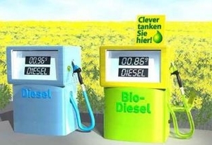 Аграрии отдают предпочтение потенциальным энергетическим растениям ##f_price|CURR_SIGN##