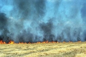 Отличная топливная альтернатива газу в селах найдена ##f_price|CURR_SIGN##