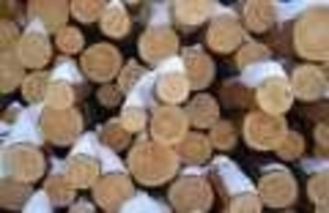 Подам дуб ясень кругляк грн.0