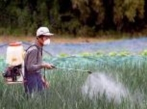 Биопестициды возвращают себе утраченную значимость ##f_price|CURR_SIGN##