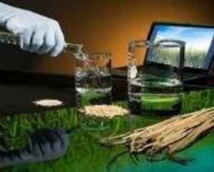 Биотопливо вредит экологии не меньше, чем традиционное топливо: секретные данные ЕС ##f_price|CURR_SIGN##