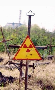 Беларусь хочет использовать земли Чернобыля для выращивания рапса ##f_price|CURR_SIGN##