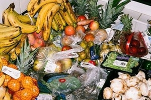 В Германии создана уникальная биостанция ##f_price|CURR_SIGN##