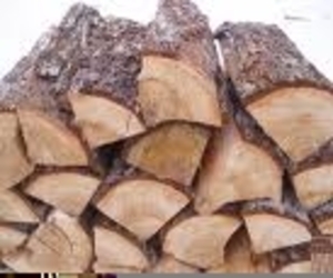 Производим и реализуем дрова: дуб, береза, сосна, грн.0