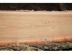 Дуб, ясень, сосна (доска н/о) грн.0