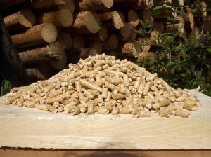 Перспективы украинской биотопливной отрасли ##f_price|CURR_SIGN##