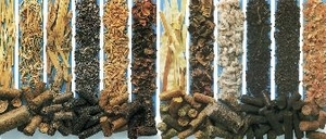 Перспективы рынка топливных пеллет и брикетов  ##f_price|CURR_SIGN##