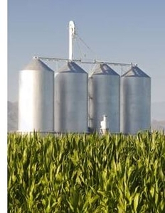 По оценкам экспертов 80% производимых пеллет и брикетов в Украине идут на экспорт грн.0