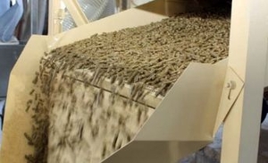 Украинский агрохолдинг будет поставлять соломенные пеллеты в Польшу ##f_price|CURR_SIGN##