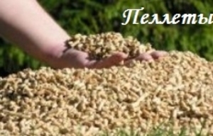 Import. Пелети до Польщі грн.0