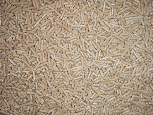 Чешская фирма покупает древесные пеллеты (гранулы) грн.0