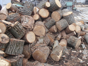 Продаем дрова твердых пород (дуб) на экспорт FCA, EXW грн.0