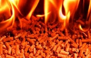 Pokupaju drevestnyje pelety 6mm i 8mm DIN+ грн.0