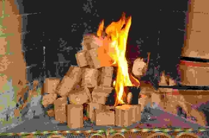 Брикеты изготовлены на Чешском пресе Briklis грн.0