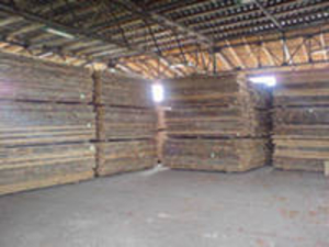 Продам дошку букову,  дубову і вільхову грн.0