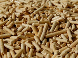 Производители пеллет предлагают согреть школы ##f_price|CURR_SIGN##