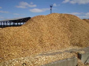 Продам щепу древесную топливную  грн.0