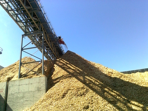 Продадим щепу топливную в больших количествах грн.0