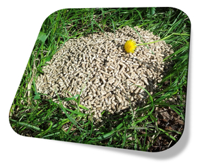 Реализуем топливные пеллеты по Украине и в Европу от 830 грн/т: грн.80