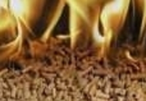 Пеллеты из соломы  300-500 тонн в месяц грн.0