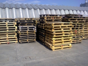 Продам Поддоны 1300х1100 грн.0
