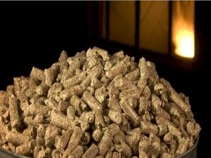 Финансовые ожидания Green World от своего первого завода по производству древесных пеллет  ##f_price|CURR_SIGN##