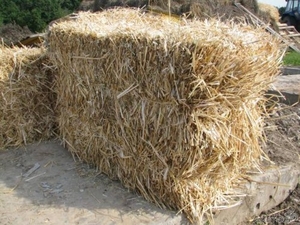 Продаю солому в тюках грн.0