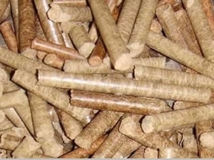 В периферийных городах хотят отапливать древесными пеллетами  ##f_price|CURR_SIGN##