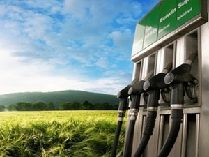 Янукович утвердил закон об обязательном содержании биоэтанола в бензине  ##f_price|CURR_SIGN##