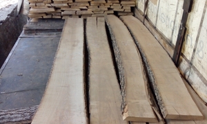 Продаем доску не обрезную сухую и свежепиленую грн.0