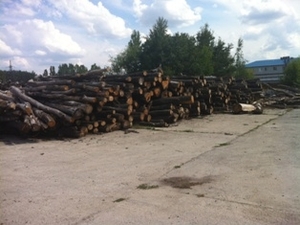 Продаем дрова Дуб  грн.0