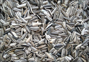 Закупаем измельченную шелуху подсоленчника грн.0