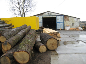 Постоянно продаем кругляк дуба и бука грн.0