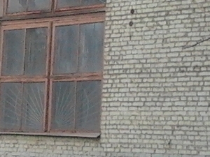 Размещение производства пелет из соломы грн.0